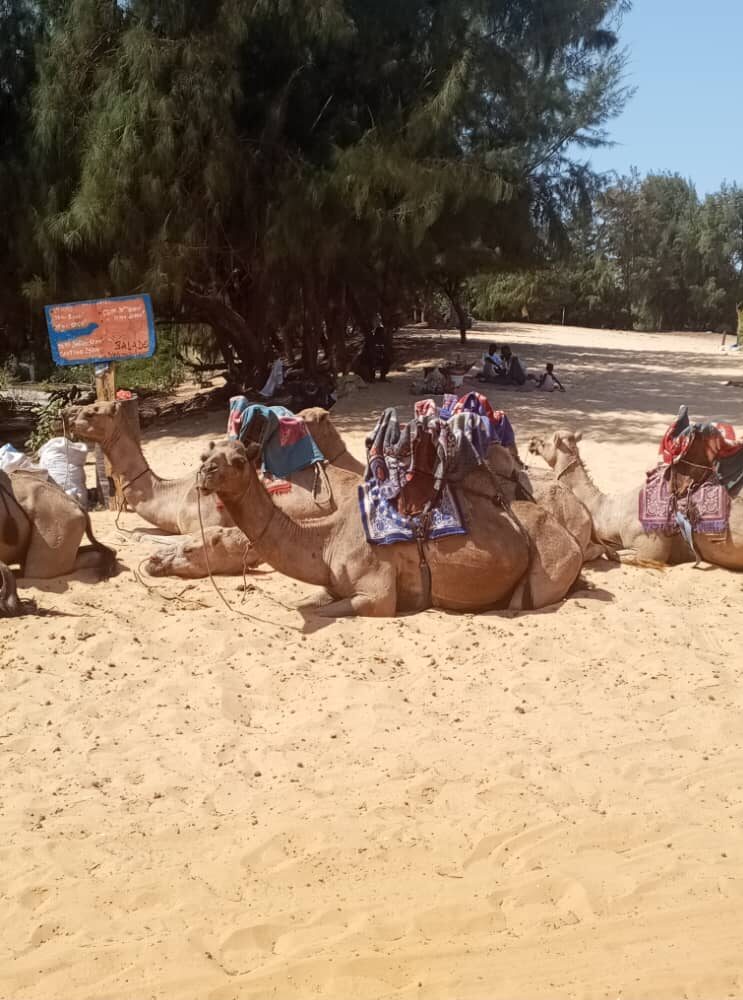 saint louis travelinsenegal 9
